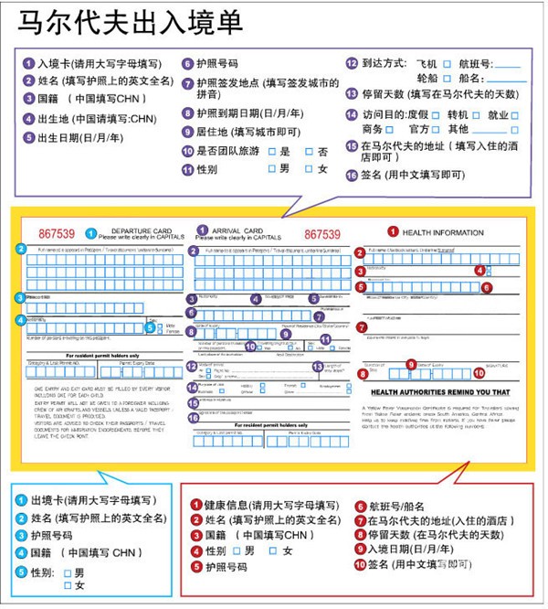 马尔代夫入境卡样本