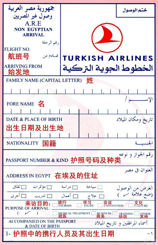 埃及入境卡样本